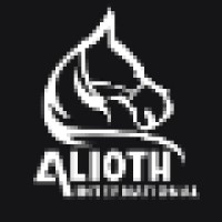 Alioth International logo - Similar company to Modern Star International