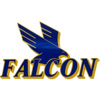 Falcon Xpress Transportation Group Inc logo - Similar company to Priority Logistics