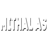 Mithal AS logo - Similar company to Mithal Industries Private Limited