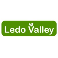 Ledo Valley Assam Tea logo - Similar company to Lluvia Tea