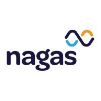 Nagas Innovation logo - Similar company to Bousquet Technologies