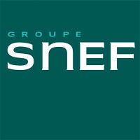 SNEF logo - Similar company to Imdeo | Software & It Infrastructures