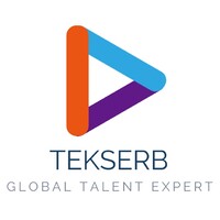 TekSerb logo - Similar company to Five Star Experience