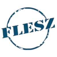 Flesz logo - Similar company to Grupa-Seo Sp. Z O.O.