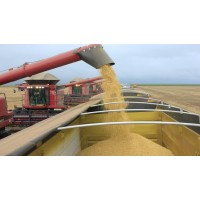 Pessaro Agro - Importacão e Exportação logo - Similar company to Fert Flora