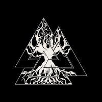 Rubeus Flow logo - Similar company to Rubeus Kaleidiascope