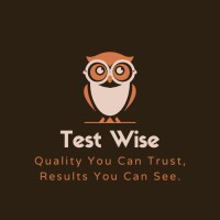 TestWise Sol logo - Similar company to Decisions 360