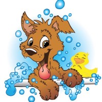 Wet paws mobile grooming logo - Similar company to Wet Paws Mobile Pet Grooming