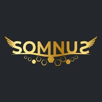 Somnus Materassi logo - Similar company to Barber Town