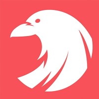 Ravenscourt logo - Similar company to Mixtvision Games