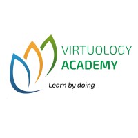 Virtuology Academy logo - Similar company to Mobilosoft