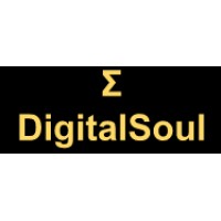 DigitalSoul SAS logo - Similar company to Wings Infotech