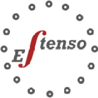 Estenso S.r.l. logo - Similar company to Everybotics S.R.L.