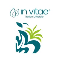 IN VITAE Italian Lifestyle logo - Similar company to Geoclever