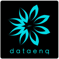 DataEnq logo - Similar company to Bleu Reflet