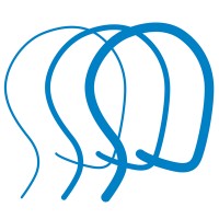 Brain Injury Association of America logo - Similar company to Brain Trauma Foundation