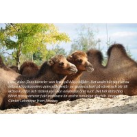 Grön Interiör logo - Similar company to Z Form Interiör