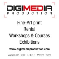 Digimedia Production logo - Similar company to Dgtales