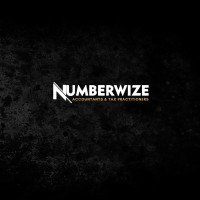 Numberwize_SA logo - Similar company to Mapd Accounting