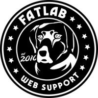 FatLab Web Support logo - Similar company to Professional Association Of Networking - Pan