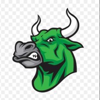 Green Bull LLC 🐂 logo - Similar company to Qa Capital Llc