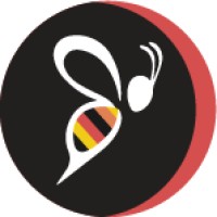 Bee Seen Design