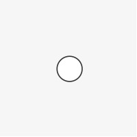 Blue Bird Network B.V.