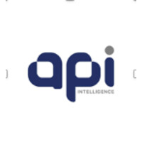 Advocacy for Policy and Innovation (API) logo - Similar company to Nonviolent Network Of Africa Peace Builders
