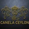 Canela Ceylon logo - Similar company to Architech Cad Academy