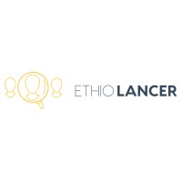 Ethiolancer logo - Similar company to Bicoders.Dev