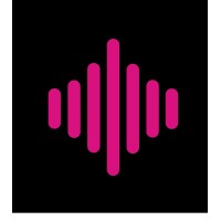 PinkNoises.it logo - Similar company to System I Developer