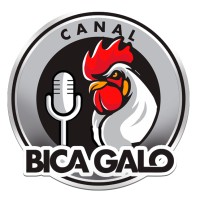 Canal Bica Galo