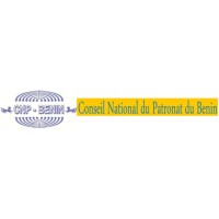 CONSEIL NATIONAL DU PATRONAT - CNP BENIN logo - Similar company to Asa Bénin
