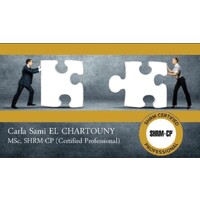 CSEC Mgt Consultancy Services logo - Similar company to Fiamla