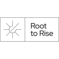 Root to Rise logo - Similar company to Access Behavioral Health Services