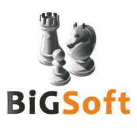 Bigsoft logo - Similar company to Bigsoft