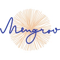 Mengrov logo - Similar company to Nts Solutions
