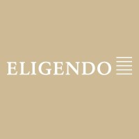 ELIGENDO AG logo - Similar company to Systematic Gamma Capital Ag