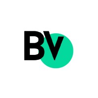 Big View logo - Similar company to Bigview Analytics