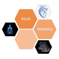 MultiModality logo - Similar company to Multiomics Core Lab & Incubator (Moli)
