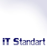 itStandard logo - Similar company to Dobalo.Com