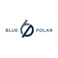 Blue Polar Investment Solutions logo - Similar company to Teclab