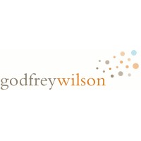 Godfrey Wilson Limited logo - Similar company to Newtons Theory