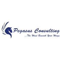 Pegasus Consulting logo - Similar company to Eduvoxy