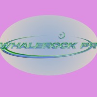 WHALEROCK PR logo - Similar company to Y2K Vintage