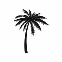 BlackPalm logo - Similar company to Cabo Development Group