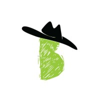 Bohemian Maverick logo - Similar company to Commxpert Technologies Pvt Ltd