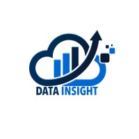 DataInsight logo - Similar company to Data Insights