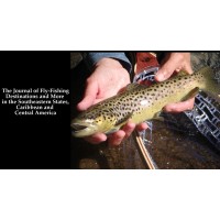 On The Fly South logo - Similar company to Fly South Creative, Llc