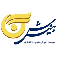 Binesh logo - Similar company to Kantikesht